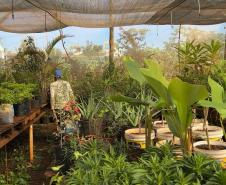 Polícia Penal do Paraná