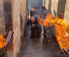 Polícia Penal do Paraná