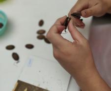 Polícia Penal do Paraná