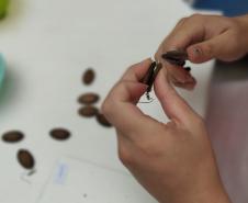 Polícia Penal do Paraná