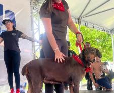 Cãominhada da Polícia Penal promove integração com a comunidade em São José dos Pinhais