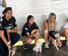 Cãominhada da Polícia Penal promove integração com a comunidade em São José dos Pinhais