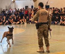 Polícia Penal do Paraná