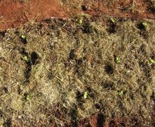 Polícia Penal do Paraná