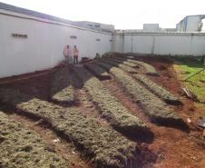 Polícia Penal do Paraná