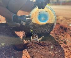 Polícia Penal do Paraná