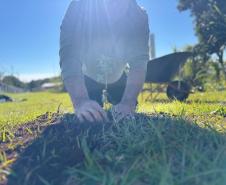 Polícia Penal do Paraná