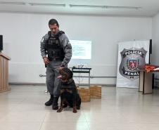 Polícia Penal do Paraná