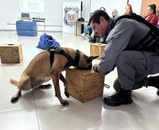 Polícia Penal do Paraná