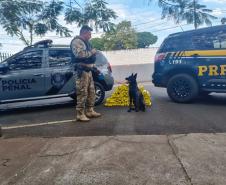 Polícia Penal do Paraná