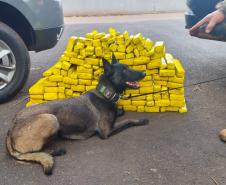 Polícia Penal do Paraná