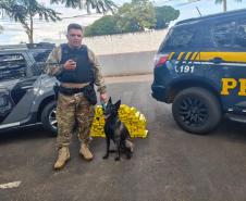 Polícia Penal do Paraná