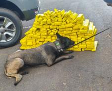 Polícia Penal do Paraná