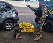 Polícia Penal do Paraná