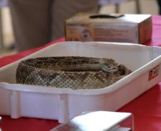 Polícia Penal do Paraná