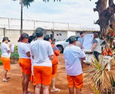 Cadeia Pública Feminina de Alto Paraná conclui curso de qualificação em olericultura