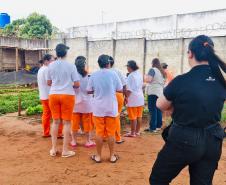 Cadeia Pública Feminina de Alto Paraná conclui curso de qualificação em olericultura