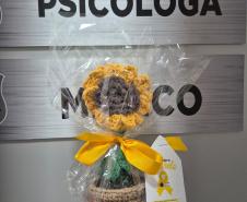 Custodiados da Cadeia Pública de Paranavaí confeccionam girassóis em oficina terapêutica alusiva ao Setembro Amarelo