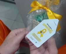 Custodiados da Cadeia Pública de Paranavaí confeccionam girassóis em oficina terapêutica alusiva ao Setembro Amarelo