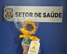 Custodiados da Cadeia Pública de Paranavaí confeccionam girassóis em oficina terapêutica alusiva ao Setembro Amarelo