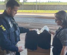 Custodiadas de Goioerê vão produzir cerca de 2 mil perucas com cabelo apreendido pela PRF