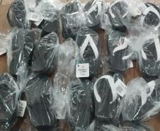 Polícia Penal do Paraná