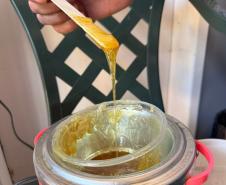 Polícia Penal do Paraná