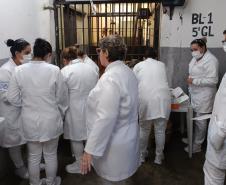 Polícia Penal do Paraná