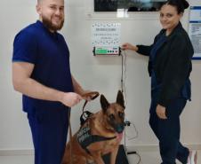 Polícia Penal do Paraná