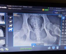 Polícia Penal do Paraná