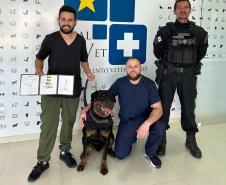 Polícia Penal do Paraná