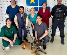 Polícia Penal do Paraná