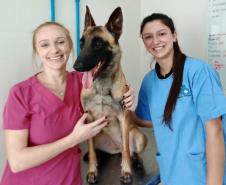 Polícia Penal do Paraná