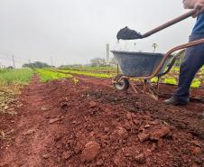 Polícia Penal do Paraná