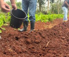 Polícia Penal do Paraná