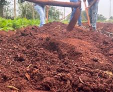 Polícia Penal do Paraná