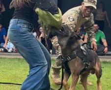 Polícia Penal do Paraná