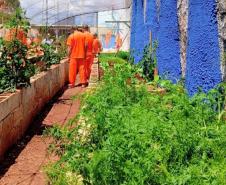 Polícia Penal do Paraná