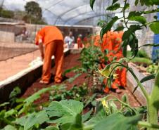 Polícia Penal do Paraná