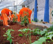 Polícia Penal do Paraná