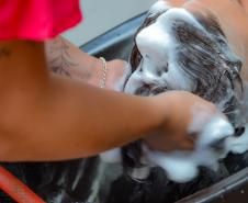 Polícia Penal do Paraná