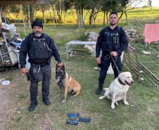 Polícia Penal do Paraná