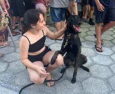 Cães da Polícia Penal reforçam segurança no Litoral durante o Verão Maior Paraná