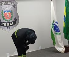 PPPR