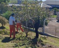 Curso de jardinagem na PIMP-UP transforma rotina e cultiva novos caminhos dentro do cárcere