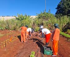 Curso de jardinagem na PIMP-UP transforma rotina e cultiva novos caminhos dentro do cárcere