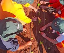 Curso de jardinagem na PIMP-UP transforma rotina e cultiva novos caminhos dentro do cárcere