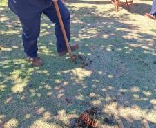 Curso de jardinagem na PIMP-UP transforma rotina e cultiva novos caminhos dentro do cárcere
