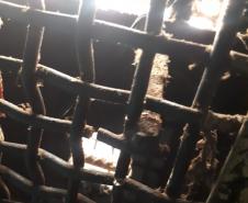 Agentes penitenciários de Cascavel apreendem celulares e materiais ilícitos em Laranjeiras do Sul