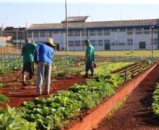 Casa de Custodia de Maringa - Execucao de servicos de  engenharia comuns e reparos -  03/08/2020 -  Foto: Geraldo Bubniak/AEN